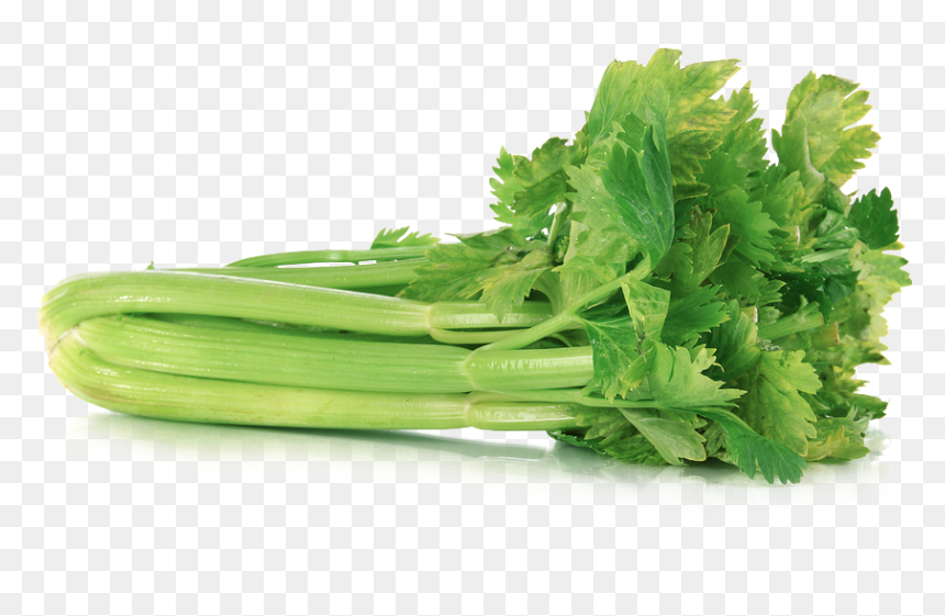 celery-transparent.png